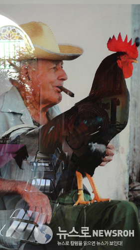 cuba old man with chicken.jpg
