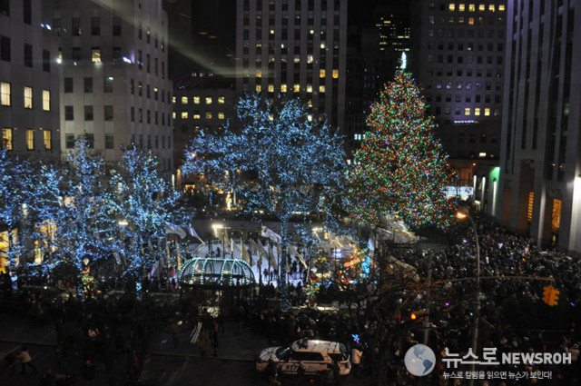 DSC_2334.jpg