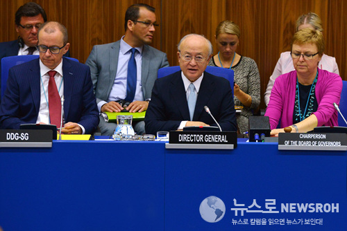 08-25-2015IAEA_Governors.jpg