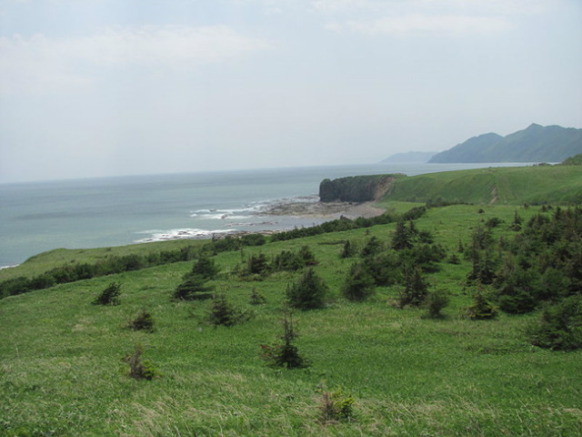 800px-Cape_Tihii._Sakhalin_coast_of_Sea_of_Okhotsk.jpg